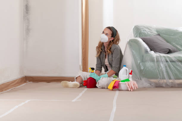 Reliable Mold Remediation contractor in Pennsylvania, PA by WQB Mold Removal